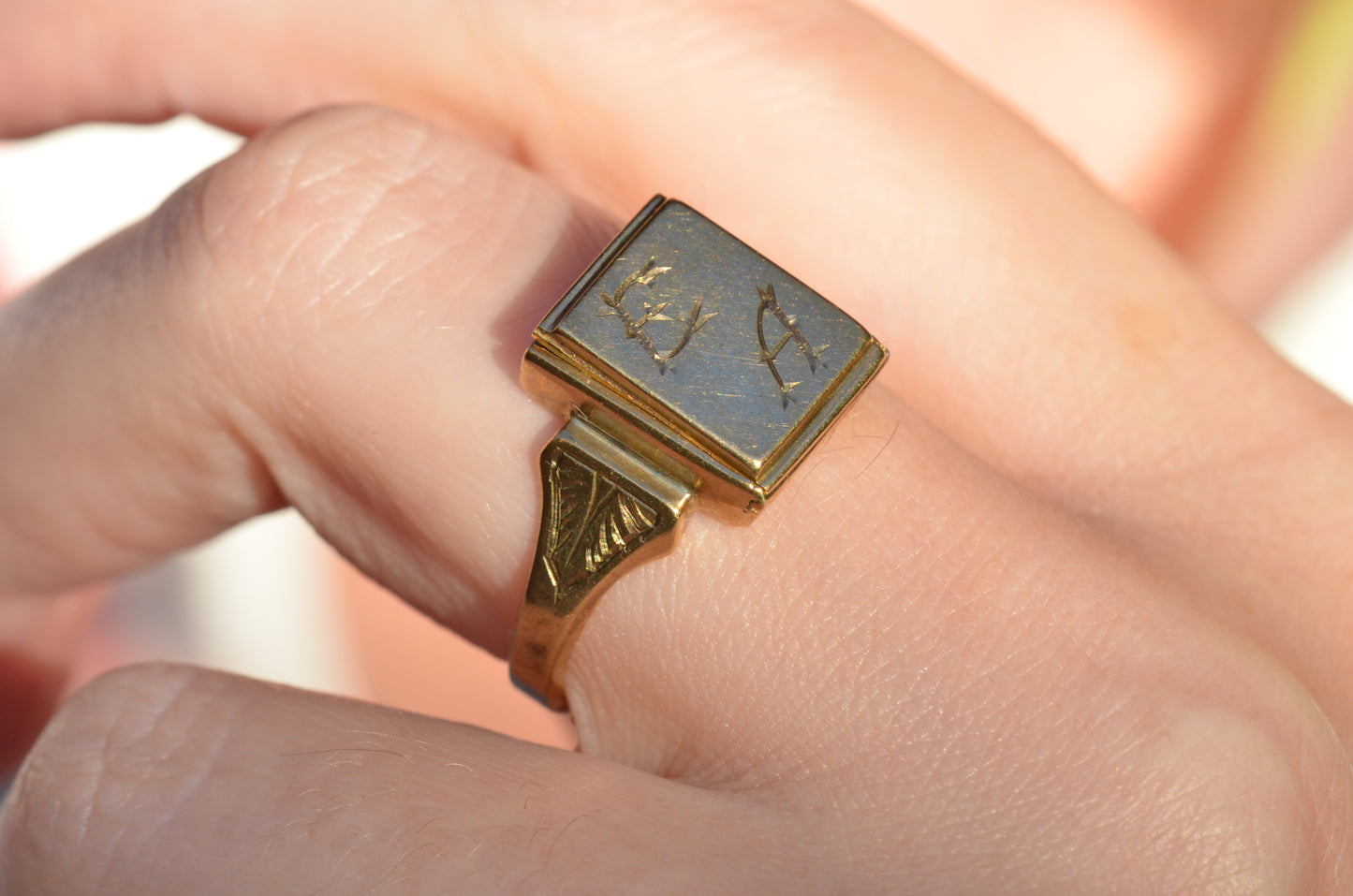 Sentimental Locket Signet Ring EA