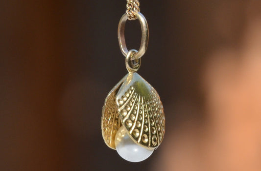 Sweet Open Shell and Pearl Charm