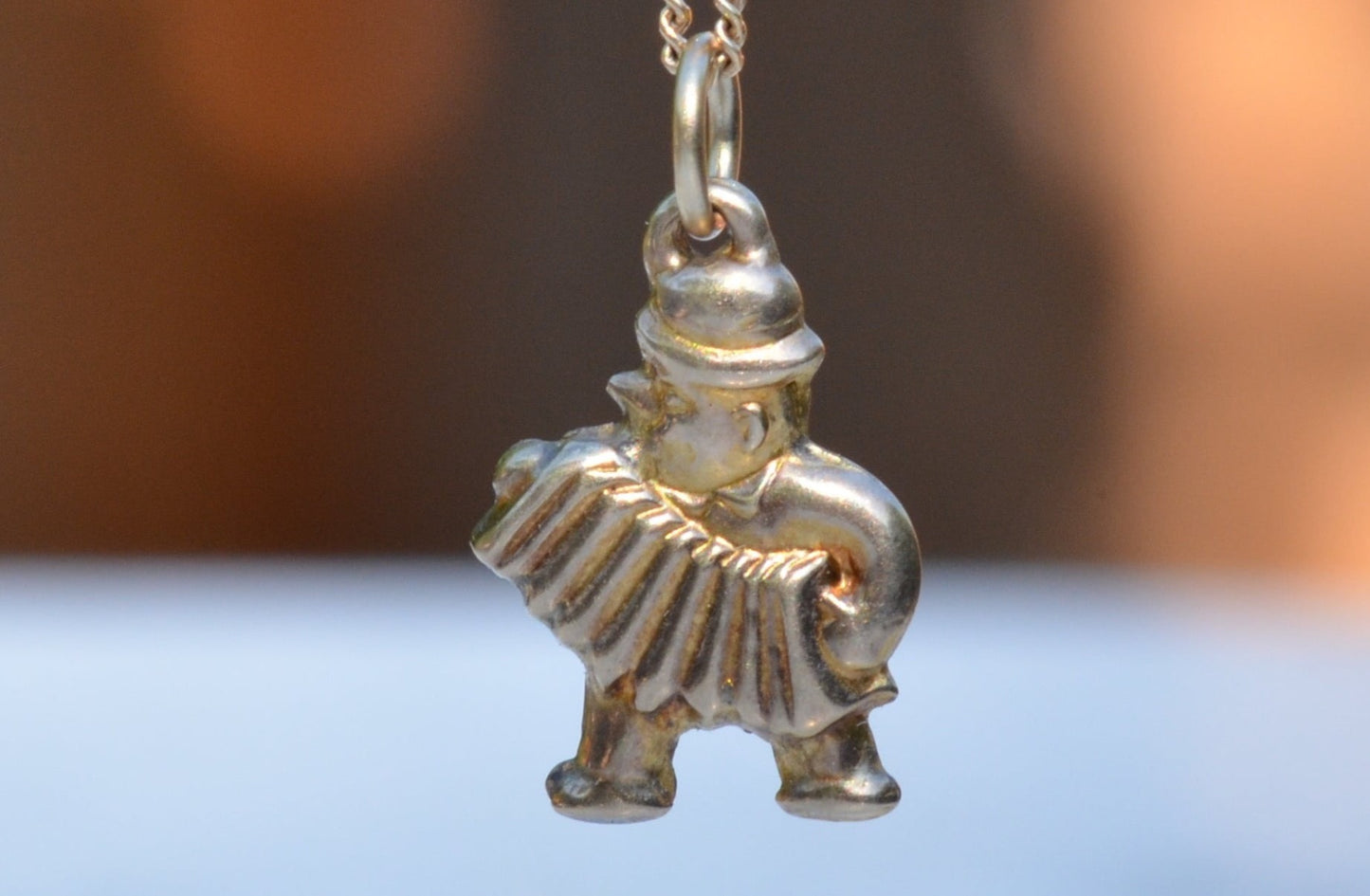 Amiable Vintage Accordionist Charm