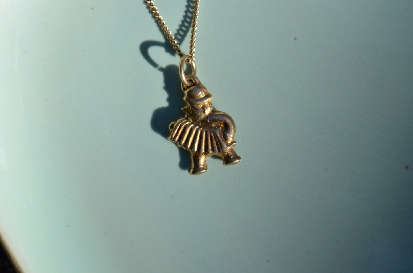 Amiable Vintage Accordionist Charm