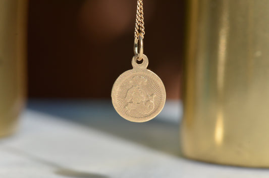 Shimmering Capricorn Medallion Charm