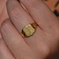 Buttery Vintage Shield Signet WH