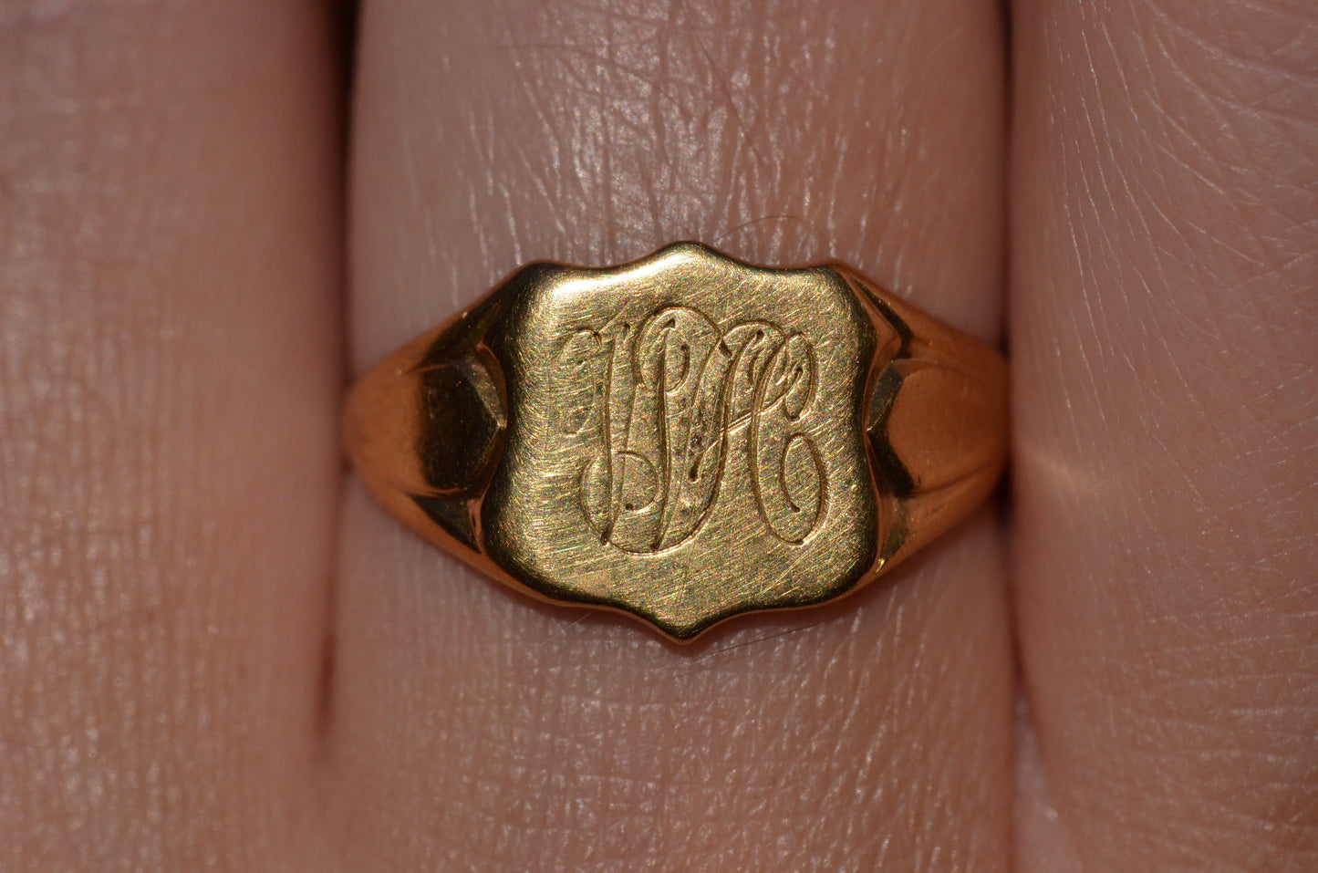 Buttery Vintage Shield Signet WH