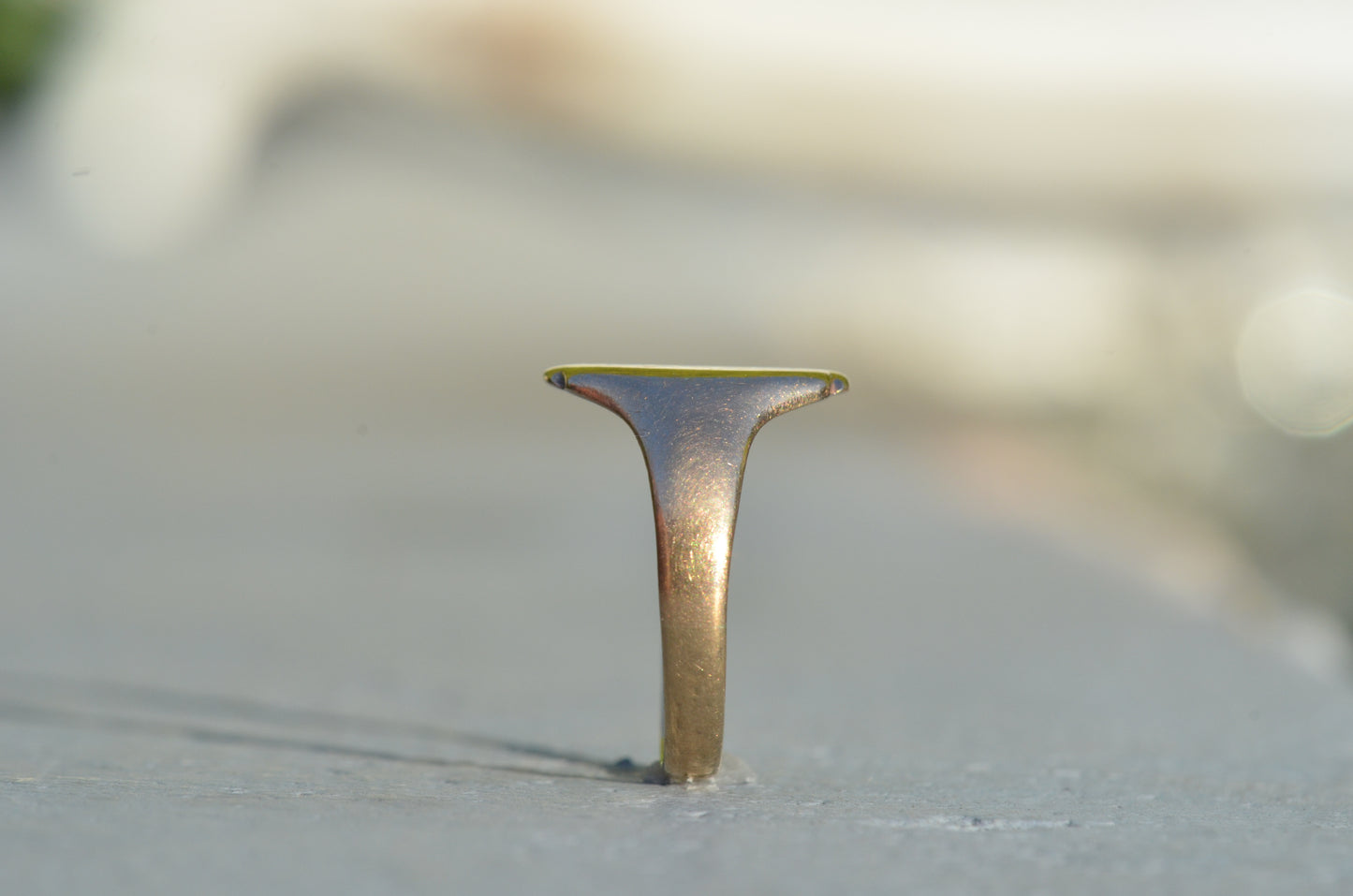 Elongated Vintage Signet Ring EH